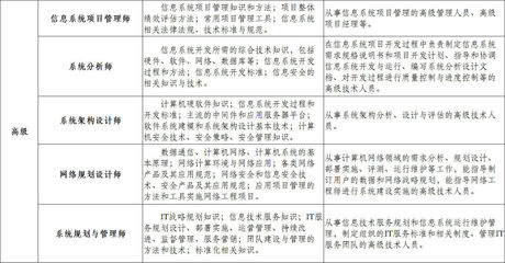 计算机系统技术服务 从职业资格认证看系统服务能力建设